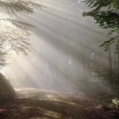 UniverSoul Heart Radio with Kathleen Johnson - Sensible Spirituality for Everyday Living: Your Evolving Soul and Today&rsquo;s Life Purpose with Dr. Linda Backman